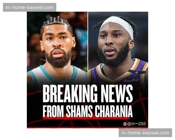 黄蜂连胜势头延续 团队配合与个人能力结合出色